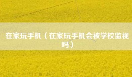 在家玩手机（在家玩手机会被学校监视吗）