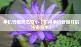 手机音量突然变小（苹果手机音量开满还声音小）