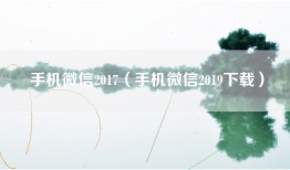 手机微信2017（手机微信2019下载）