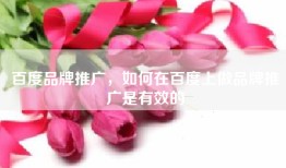 百度品牌推广，如何在百度上做品牌推广是有效的