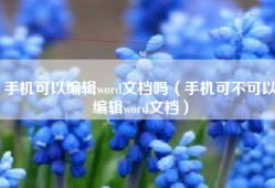 手机可以编辑word文档吗（手机可不可以编辑word文档）
