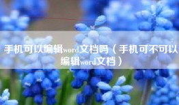 手机可以编辑word文档吗（手机可不可以编辑word文档）