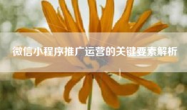 微信小程序推广运营的关键要素解析