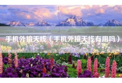 手机外接天线（手机外接天线有用吗）