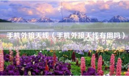手机外接天线（手机外接天线有用吗）
