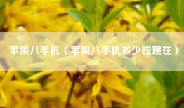 苹果八手机（苹果八手机多少钱现在）