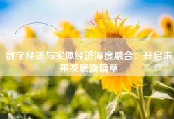 数字经济与实体经济深度融合：开启未来发展新篇章