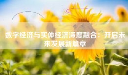 数字经济与实体经济深度融合：开启未来发展新篇章