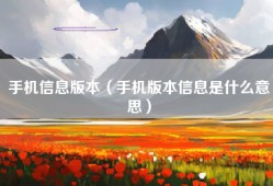 手机信息版本（手机版本信息是什么意思）