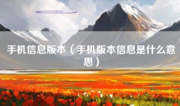 手机信息版本（手机版本信息是什么意思）