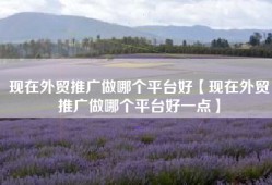 现在外贸推广做哪个平台好【现在外贸推广做哪个平台好一点】