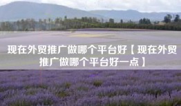 现在外贸推广做哪个平台好【现在外贸推广做哪个平台好一点】