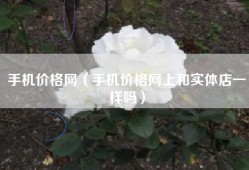 手机价格网（手机价格网上和实体店一样吗）