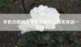 手机价格网（手机价格网上和实体店一样吗）
