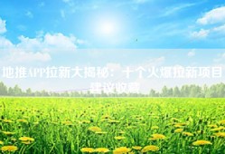 地推APP拉新大揭秘：十个火爆拉新项目，建议收藏