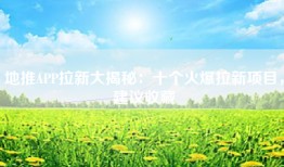 地推APP拉新大揭秘：十个火爆拉新项目，建议收藏
