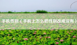 手机性别（手机上怎么把性别改成没有）