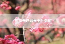 期货开户云是干什么的
