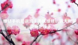 维修手机培训班（手机维修培训大概学费多少钱）