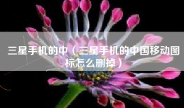 三星手机的中（三星手机的中国移动图标怎么删掉）