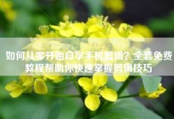 如何从零开始自学手机剪辑？全套免费教程帮助你快速掌握剪辑技巧