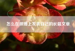 怎么在微博上发表自己的长篇文章