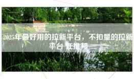 2025年最好用的拉新平台，不扣量的拉新平台 任推邦