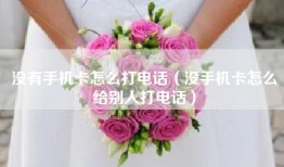 没有手机卡怎么打电话(没手机卡怎么给别人打电话)