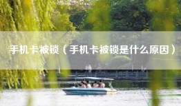 手机卡被锁（手机卡被锁是什么原因）
