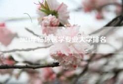 2024年临床医学专业大学排名