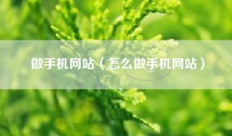 做手机网站(怎么做手机网站)