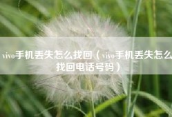 vivo手机丢失怎么找回（vivo手机丢失怎么找回电话号码）