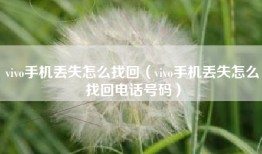 vivo手机丢失怎么找回（vivo手机丢失怎么找回电话号码）