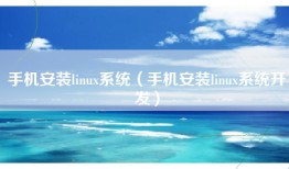 手机安装linux系统（手机安装linux系统开发）