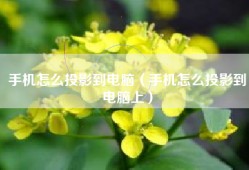 手机怎么投影到电脑（手机怎么投影到电脑上）