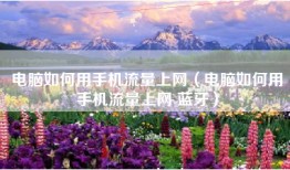 电脑如何用手机流量上网（电脑如何用手机流量上网 蓝牙）