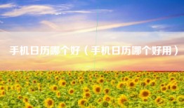 手机日历哪个好（手机日历哪个好用）