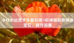 小红书运营大牛都在用!9款神器助你精准定位，提升流量