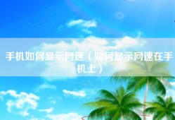 手机如何显示网速（如何显示网速在手机上）