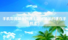 手机如何显示网速（如何显示网速在手机上）
