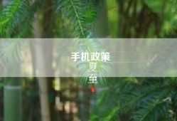 手机政策