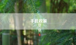 手机政策