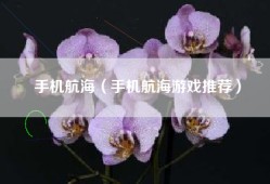 手机航海（手机航海游戏推荐）