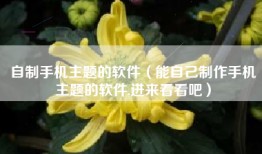 自制手机主题的软件（能自己制作手机主题的软件,进来看看吧）