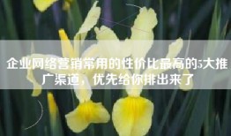 企业网络营销常用的性价比最高的5大推广渠道，优先给你排出来了