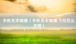 手机充羊城通（手机充羊城通,飞充怎么充值）