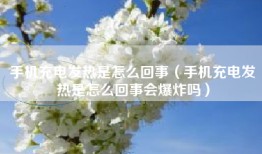 手机充电发热是怎么回事（手机充电发热是怎么回事会爆炸吗）