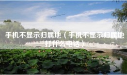 手机不显示归属地（手机不显示归属地打什么电话）
