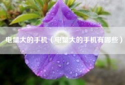 电量大的手机（电量大的手机有哪些）