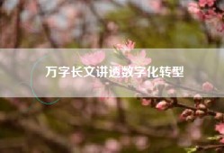 万字长文讲透数字化转型